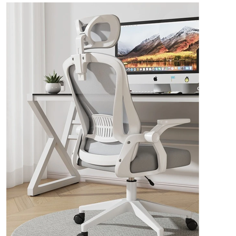 Computer Chair OC-5
