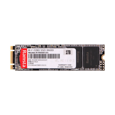 SSD M.2 RAMSTA R600 1TB